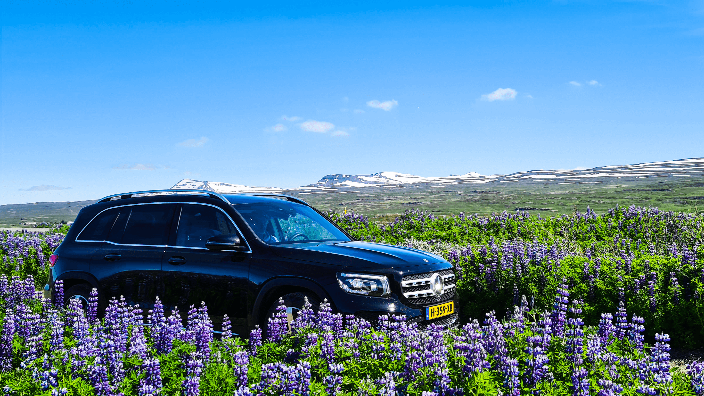 travelicious travelicious