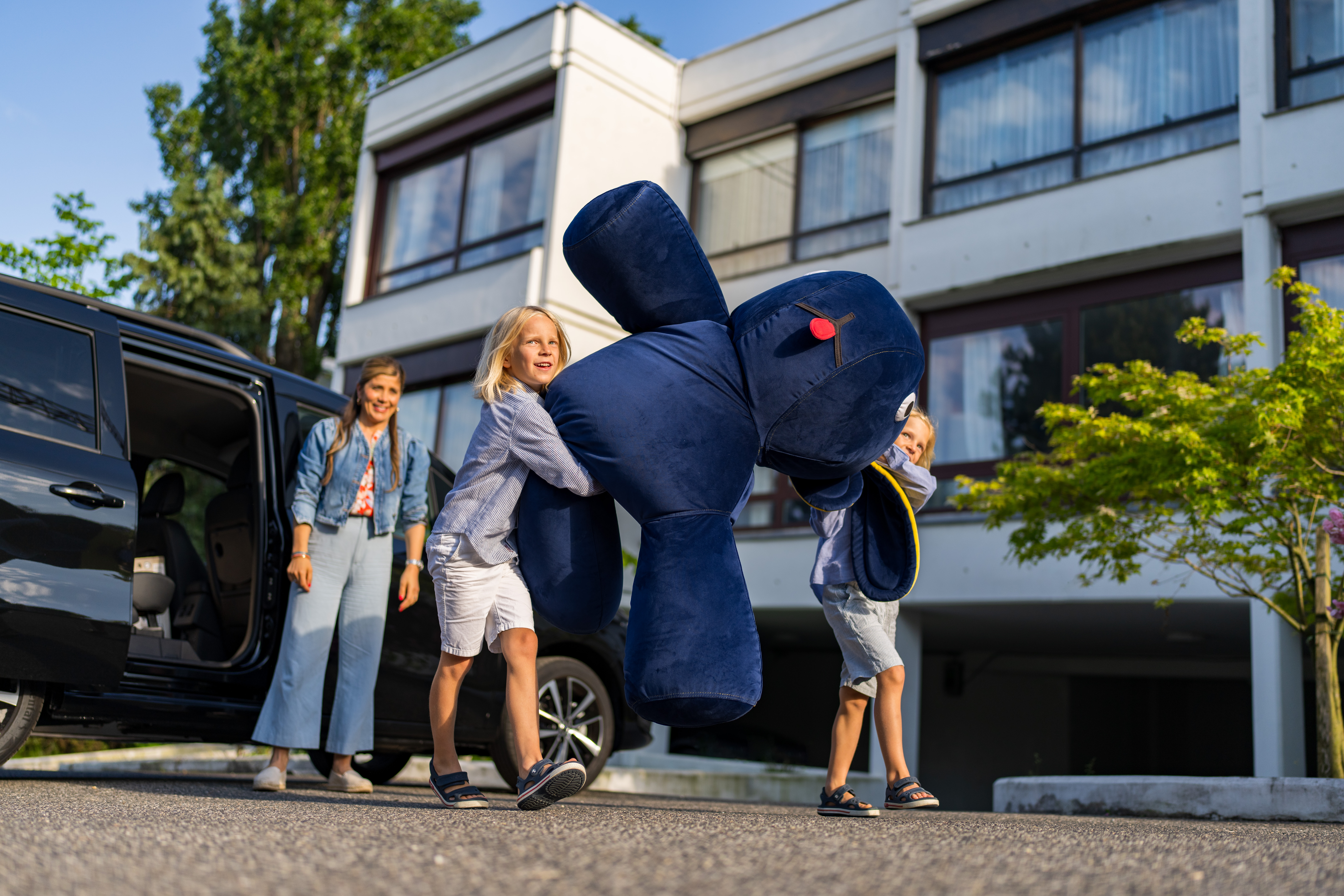 Bijtelling Bijtelling