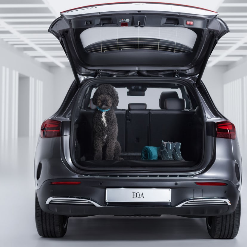 Mercedes store car accessories